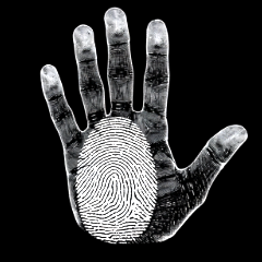 十指元素（宁波）智能家居有限公司